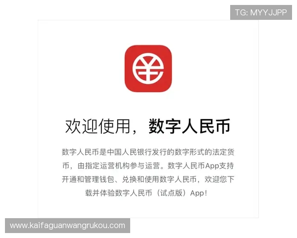 NE真人电子APP最新版本上线，带你体验最真实的线上娱乐新玩法