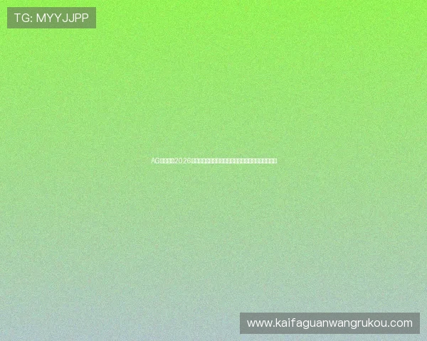 AG数字站：2026世界杯比赛数据统计与分析，为球迷提供专业参考信息